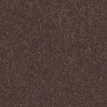Shaw Floors Positively Tree Bark 00792_5E462