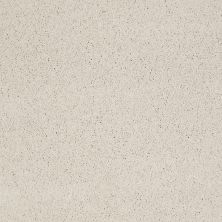 Shaw Floors Value Collections Cashmere Classic 4 Net Suffolk