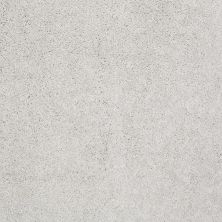 Shaw Floors Value Collections Cashmere Classic 4 Net Silver Lining
