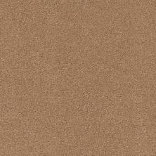 Shaw Floors Value Collections Cashmere Classic 4 Net Brass Lantern