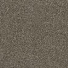 Shaw Floors Value Collections Cashmere Classic 4 Net Chinchilla