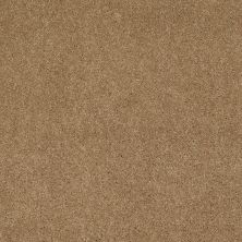 Shaw Floors Value Collections Cashmere Classic 4 Net Navajo