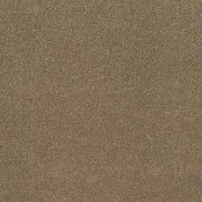 Shaw Floors Value Collections Cashmere Classic 4 Net Pebble Path