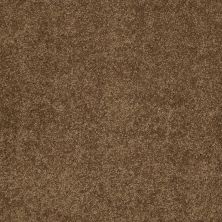 Shaw Floors Value Collections Cashmere Classic 4 Net Tobacco Leaf
