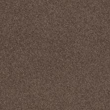 Shaw Floors Value Collections Cashmere Classic 4 Net Spring - Wood