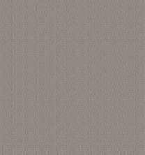 Shaw Floors Simply The Best Iconic Way Net Asteroid 00515_5E470