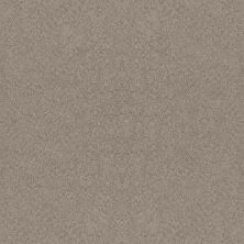 Shaw Floors Foundations Alluring Canvas Net Fossil Path 00108_5E476