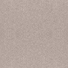 Shaw Floors Foundations Alluring Canvas Net Baltic Stone 00128_5E476