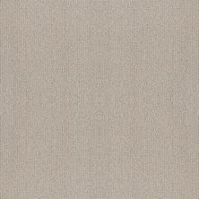 Shaw Floors Foundations Fine Tapestry Net Baltic Stone 00128_5E477