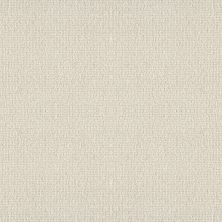 Shaw Floors Foundations Fine Tapestry Net Champagne Toast 00153_5E477