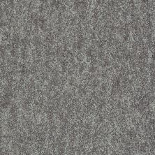 Shaw Floors Value Collections Take Away (s) Net Shadow 00502_5E479
