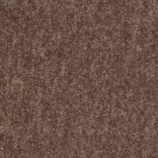Shaw Floors Value Collections Take Away (s) Net Canoe 00703_5E479