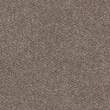Shaw Floors Simply The Best Without Limits II Saddle Tan 00700_5E483