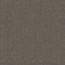 Shaw Floors Simply The Best Boundless Iv Slate Stone 00105_5E488