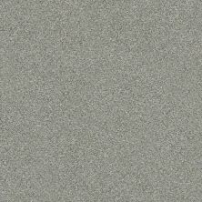 Shaw Floors Simply The Best Boundless Iv Distant Star 00141_5E488