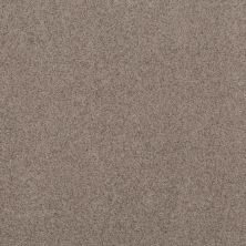 Shaw Floors Work It Out Frosted Mocha 00704_5E492