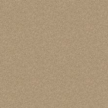 Shaw Floors Shaw Design Center Royal Portrush 1 12 Net Flax Seed