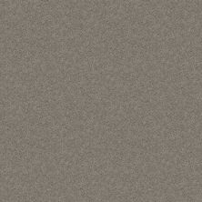 Shaw Floors Shaw Design Center Royal Portrush 1 12 Net Ink Spot