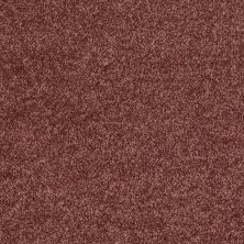 Shaw Floors Shaw Design Center Royal Portrush 1 12 Net Flower Pot