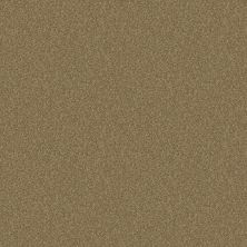 Shaw Floors Shaw Design Center Royal Portrush 1 12 Net Granola