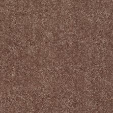 Shaw Floors Shaw Design Center Royal Portrush 1 12 Net Cattail