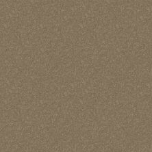 Shaw Floors Shaw Design Center Royal Portrush 1 12 Net River Slate