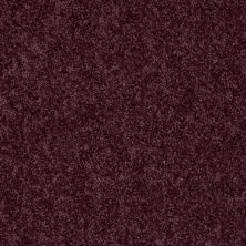 Shaw Floors Shaw Design Center Royal Portrush 1 12 Net Royal Purple
