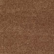 Shaw Floors Shaw Design Center Royal Portrush 1 15 Net Desert Sunrise