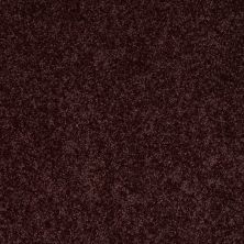 Shaw Floors Shaw Design Center Royal Portrush 1 15 Net Royal Purple