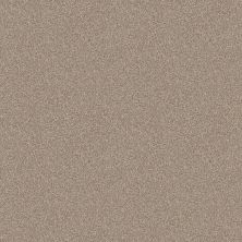 Shaw Floors Pet Perfect Influencer Net Sunkissed 00710_5E500