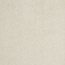 Shaw Floors Caress By Shaw Cashmere Classic II Net Cheviot