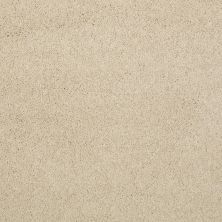Shaw Floors Caress By Shaw Cashmere Classic II Net Yearling