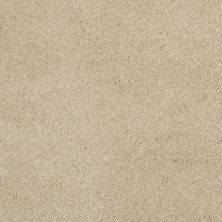 Shaw Floors Caress By Shaw Cashmere Classic II Net Gentle Doe