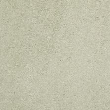 Shaw Floors Caress By Shaw Cashmere Classic II Net Celadon