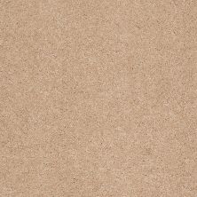 Shaw Floors Caress By Shaw Cashmere Classic II Net Maplewood North