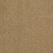 Shaw Floors Caress By Shaw Cashmere Classic II Net Navajo