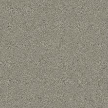 Shaw Floors Simply The Best Boundless I Net Dreamscape 00740_5E503