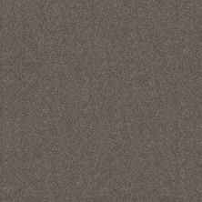 Shaw Floors Simply The Best Boundless Iv Net Slate Stone 00105_5E506