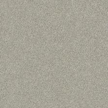 Shaw Floors Simply The Best Boundless Iv Net Soft Breeze 00131_5E506