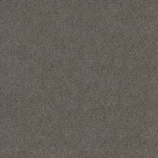 Shaw Floors Simply The Best Boundless Iv Net Magnetic 00502_5E506
