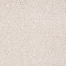 Shaw Floors Value Collections Sandy Hollow Cl II Net Pudding