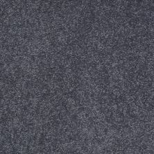 Shaw Floors Value Collections Sandy Hollow Cl II Net Cadet