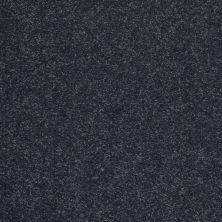 Shaw Floors Value Collections Sandy Hollow Cl II Net Dutch Boy