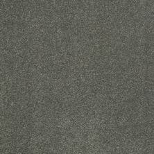 Shaw Floors Value Collections Sandy Hollow Cl II Net Bahama Bay