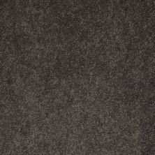 Shaw Floors Value Collections Sandy Hollow Cl II Net Arrowhead