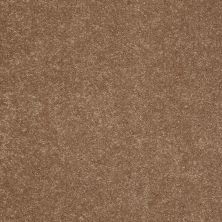 Shaw Floors Value Collections Sandy Hollow Cl II Net Windmill