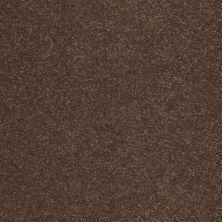 Shaw Floors Value Collections Sandy Hollow Cl II Net Wooden Box