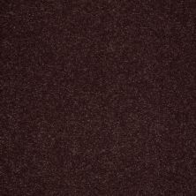 Shaw Floors Value Collections Sandy Hollow Cl II Net Rouge Red