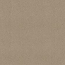 Shaw Floors Value Collections Sandy Hollow Cl III Net Soft Shadow 00105_5E511