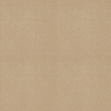 Shaw Floors Value Collections Sandy Hollow Cl III Net Cashew 00106_5E511